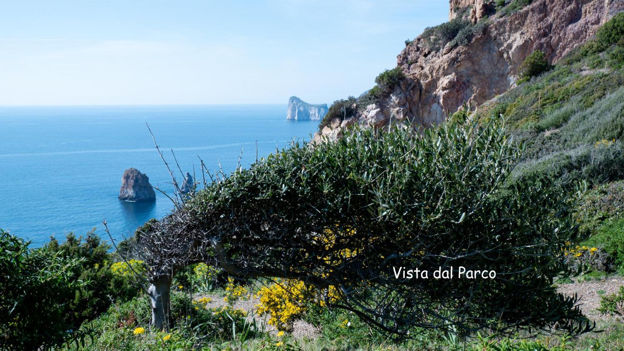 Il Dolce Risveglio Tanca Piras Villa Nebida Luaran gambar