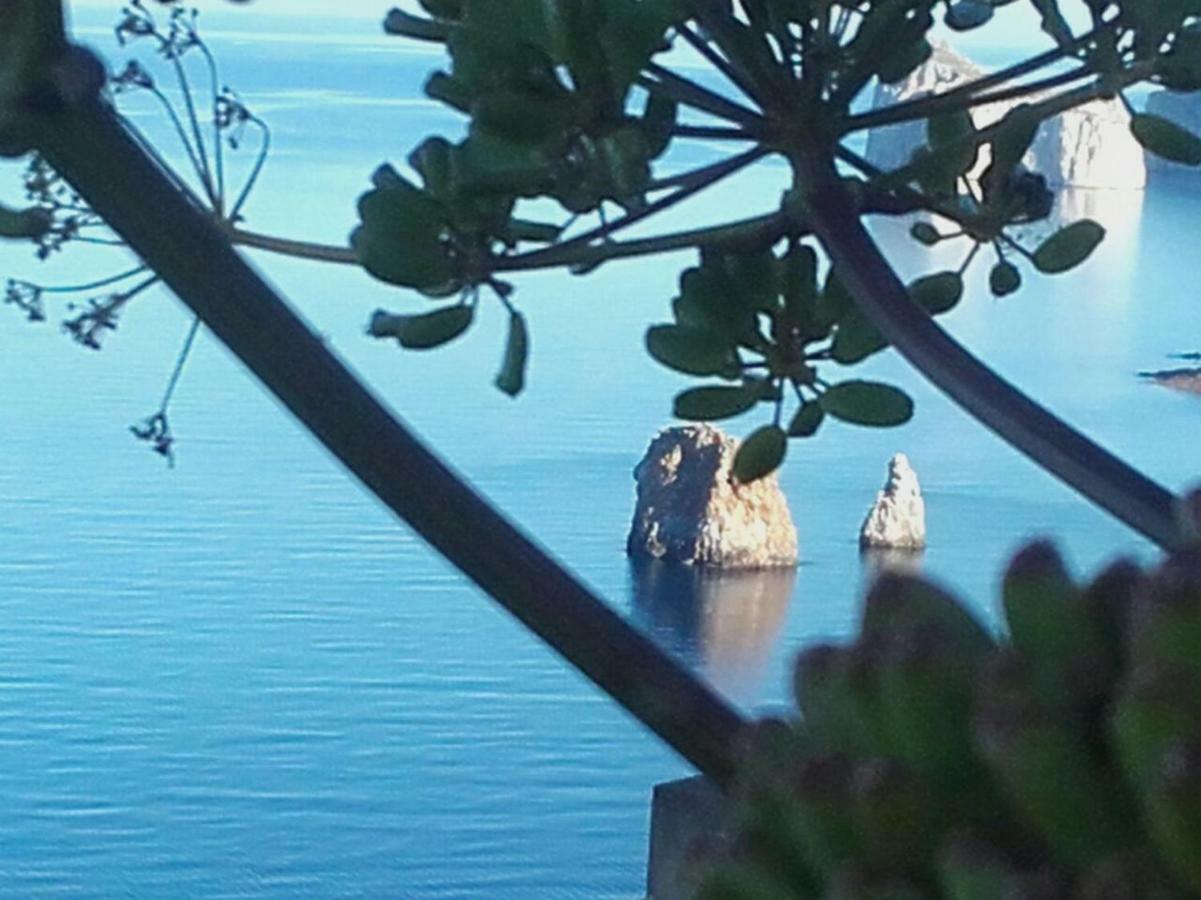 Il Dolce Risveglio Tanca Piras Villa Nebida Luaran gambar
